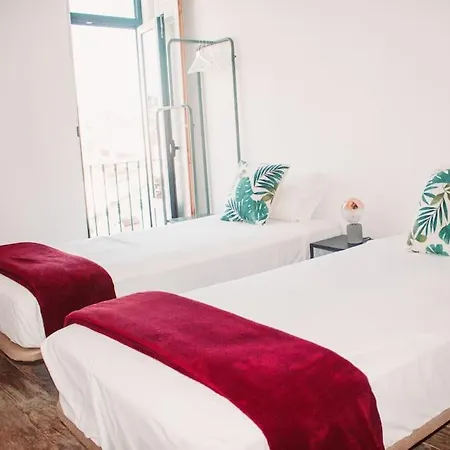 New Flat & Terrace Garden Monte Da Graca